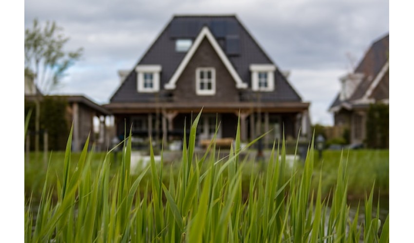 Odborné poradenství